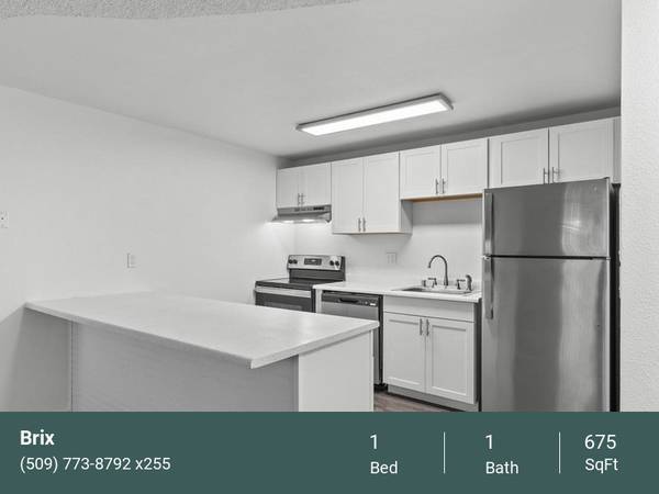 $1,149 / 1br - 675ft2 - Newly Remodeled, New Kitchens, Full Size Washer/Dryer63821616288387120