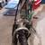 Raleigh SC 40 Hybrid bike 9 thumbnail