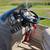 2009 Premier leisure pontoon, yamaha 115 & 2009 yacht club trailer 9 thumbnail