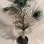 Random Items for Gifts or Decor or Household - Part 2 21 thumbnail