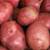 FRESH DUG POTOTAES~ 50lb BAGS~RED OR WHITE~ 3 thumbnail