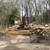 Tree service , land clearing 4 thumbnail