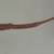 Antique Alligator Purse Handbag Shoulder Purse 1930s Made in Cuba 10 thumbnail
