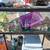 Reptile aquarium full set up 1 thumbnail