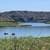 10+ ac Land & Cabin on Missouri River, power, fish, boat, hunt 10 thumbnail