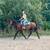 Versatile Warmblood Gelding for Sale 9 thumbnail