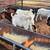 BORREGOS, SHEEPS, CHIVOS, GOATS FOR SALE 12 thumbnail