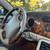 Jaguar XK8 11 thumbnail