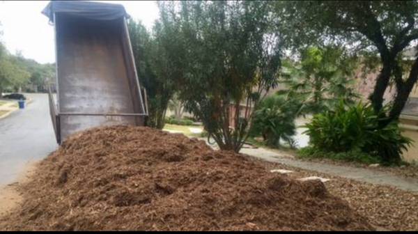 CEDAR MULCH 1