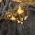 Ragdoll mixes 1 thumbnail