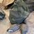 Duck/Goose Decoys & Accessories 3 thumbnail