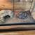 Ball Python and setup 2 thumbnail