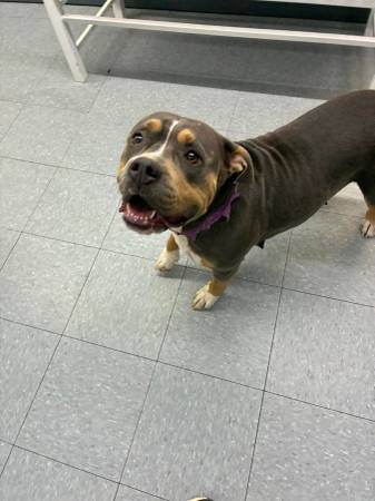 Objetos perdidos y encontrados (Mt Vernon IL)63688376313347122