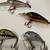 12 Name Brand Crankbait Lures 11 thumbnail