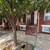 New 2BEDS/1BATH Home in Baltimore City 1 thumbnail