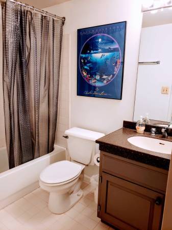 $790 Fantastic 1 BR / sharedBa for Rent in Red Hook/Carroll Gardens (Brooklyn)64033635252737122