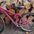 Girls specialized 1 thumbnail
