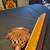 8' CONNELLY SLATE POOL TABLE DELIVERY & INSTALL AVAILABLE 11 thumbnail