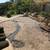 CUTTING EDGE LANDSCAPING SERVICES..A cut above the rest 20 thumbnail