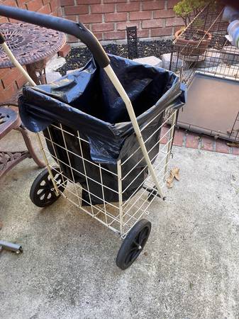 shopping cart 1
