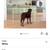 No Pawblems Free Standing Dog Gate with Door, 30'' Tall Foldable Dog Fence 1 thumbnail
