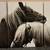 EXCELLENT! Used Canvas horse art ($85/each set of 4 panels) 6 thumbnail