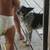 Free pup 2 thumbnail