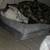 Husky rehoming fee 1 thumbnail