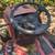 Troy Built 42” deck Bronco riding mower 4 thumbnail