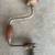 VINTAGE HAND DRILL 1 thumbnail