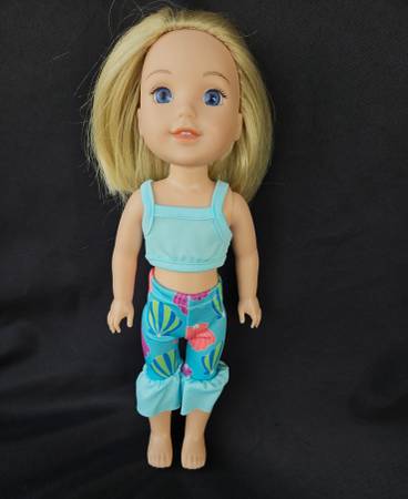 Muñeca American Girl Welli Wishers Camille de 14,5 pulgadas con ropa - $40 (Tacoma)63471421835777120