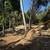 Land for Sale – Nature, Security, and Location 5 thumbnail
