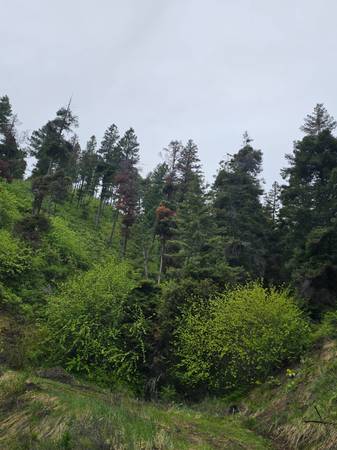 $299,000 / 2551745ft2 - Expansive property offers an unparalleled off-grid, self-sufficient (Florence)63953766286851121