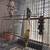 Two Parakeets with cage 2 thumbnail
