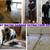 TILE AND GROUT STEAM CLEANING ☛ CARPET ☛AREA RUG ☛WINDOW☛ SOLAR☛GUTTER 11 thumbnail