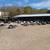 New Master Tow car dolly In Stock!! With 8Ply Tires & Mag Wheels 4 thumbnail