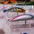 Eight (8) New Suspended Fishing Lures With BALLS  L-#69 2 thumbnail