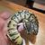 New ball python clutch ready to go 1 thumbnail