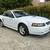 2001 Ford Mustang 1 thumbnail