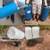 “Useful Things” Storage Barrels IBC Tank Clean Foodgrade 13 thumbnail