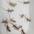 Bearded Dragon Babys 8 thumbnail
