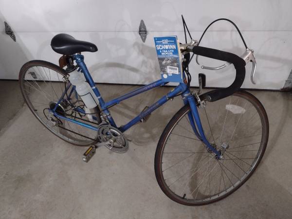 Schwinn Girls Bike 1