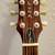 Luna Trinity Dreadnaught Irish A/E Guitar w/ HSC 3 thumbnail