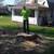 TREE SERVICE CLIMBER 6 thumbnail