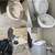 GREAT HOUSE CLEANERS, ORGANIZERS, PACKERS, MOVERS, HANDYMAN... ETC 1 thumbnail