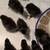 Ayam  Cemanis Chicks, Eggs 3 thumbnail