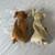 Ty Beanie Baby Almond and Pecan Bears-plush 5 thumbnail