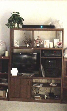 Entertainment Center 1
