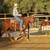 Training - Rider and Horse 10 thumbnail