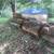 Free firewood 1 thumbnail